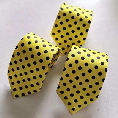 Erkek Polyester Puantiyeli Kravat Fermuarlı İş ve Günlük Kullanım