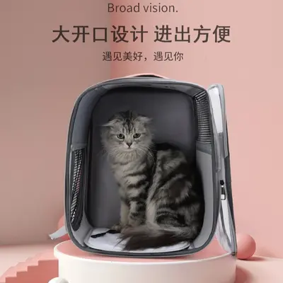 Taşınabilir Şeffaf Kedi Sırt Çantası Nefes Alabilir