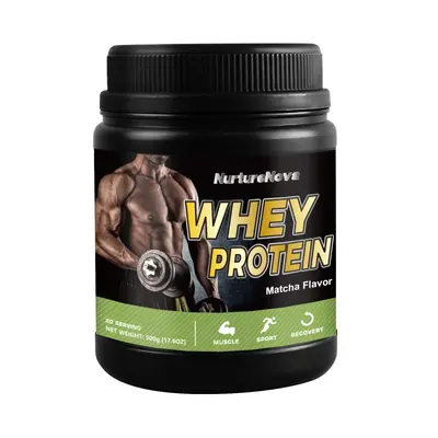 Whey Proteinpulver 500g in Schokolade, Vanille, Erdbeere, Matcha