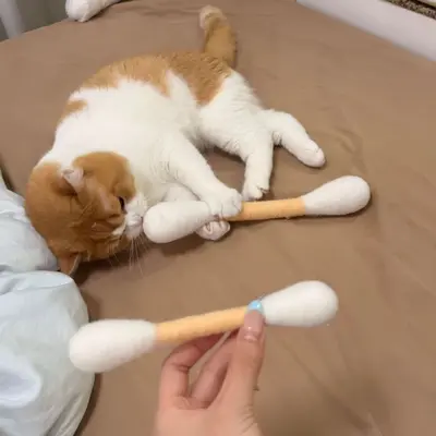 Wool Felt Cat Chew Toy Stick, Large - 5
