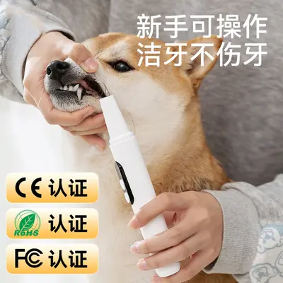 Pet electric toothbrush, dental cleaner and polisher - 2