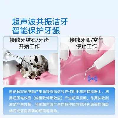 Pet electric toothbrush, dental cleaner and polisher - 5