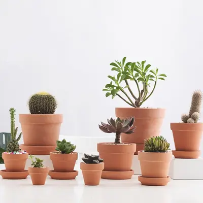 Red Clay Ceramic Flowerpot for Succulents, Water-Permeable - 4