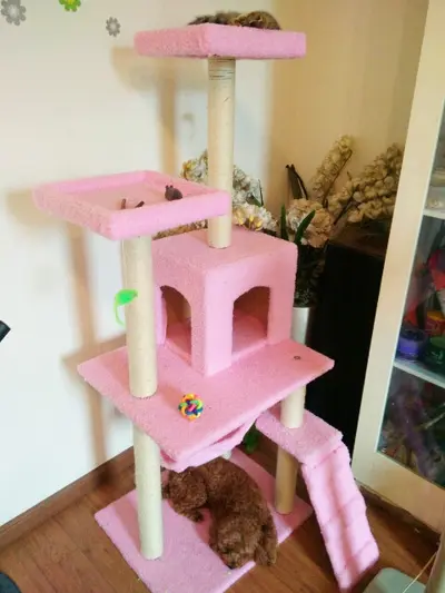 Fabrika doğrudan satış toptan ısmarlama evcil hayvan malzemeleri kedi oyuncakları kedi tırmanma çerçevesi kedi tırmalama tahtası kedi ağacı 23 gri - 2