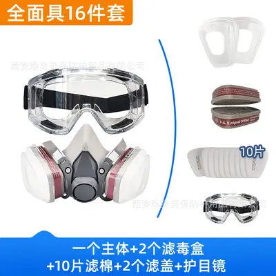 CE6200 Gas Mask with Dust Goggles, Protection Against Dust and Fumes - 9