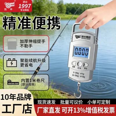Kaifeng Taşınabilir Elektronik Terazi Portatif Yüksek Hassasiyetli Ev Bagaj Terazisi Kancalı Terazi Mini Küçük Kesin Yay Terazisi - 2