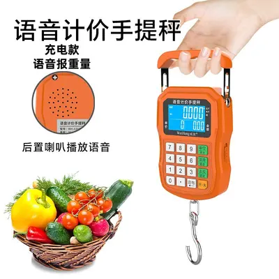 Rechargeable Portable Digital Vegetable Market Scale with Hook - 9