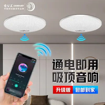 CR-501 Tavan Hoparlörü, Bluetooth, Sabit Empedans, Gömme Tip - 2