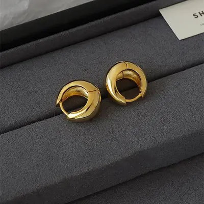 Europäische und amerikanische Ohrringe im ovalen Stil für Frauen, 925er Silberstift-Ohrringe, einfache modische elegante Geschäftskleidung, Nischen-Design, elektrolytisch vergoldet - 10