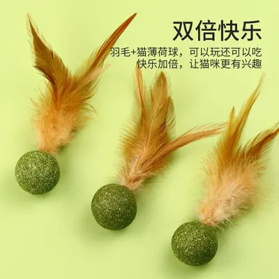 Catnip Feather Ball Cat Toy with Chew Snack and Cat Grass - 2