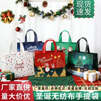 Laminated Christmas Non-Woven 3D Gift Bag with Handles
