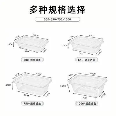 Disposable Rectangular Plastic Food Container with Lid