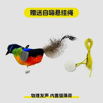 Cat Toy Squeaky Feather Bird Teaser Wand, Durable - 10