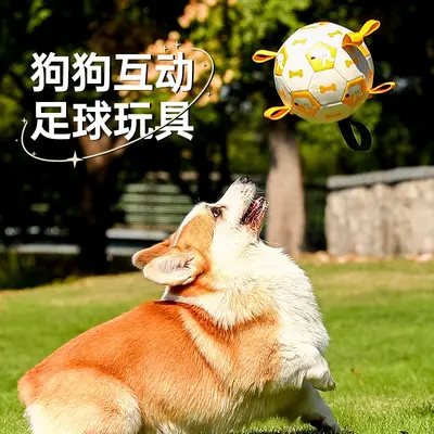 Interactive Football Dog Toy for Outdoor Use, Bite-Resistant - 4