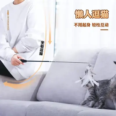 Retractable Cat Teaser Wand with Feather Replacement Heads and Bell, for Kittens - 4