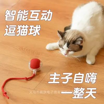 Chew-Resistant Automatic Cat Teaser Ball with Rope - 3