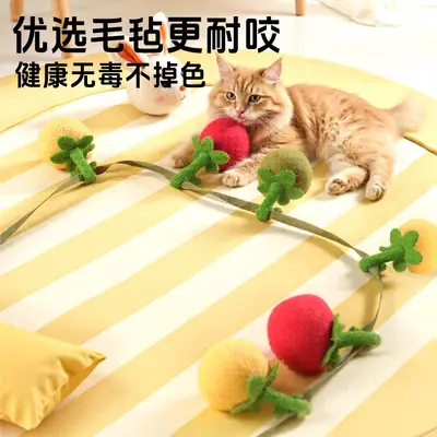 猫玩具小番茄柿子串逗猫棒猫咪自嗨解闷神器耐咬带铃铛逗猫咪玩具 - 2