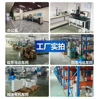 Futai N20 elektronik parmak izi kilit mikro DC motor yetişkin ürünleri motor yüz temizleme güzellik cihazı vibration motor