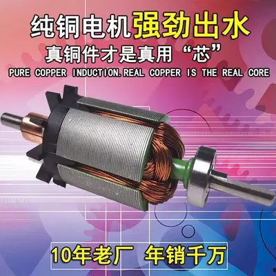 12V Agricultural Sprayer Diaphragm Water Pump, High Pressure Self-Priming Motor
