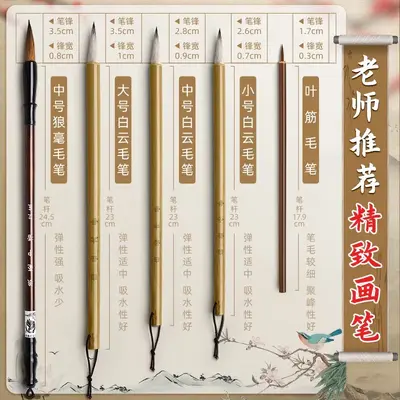 Deli Chinesische Malfarben Set, 12 Farben - 5