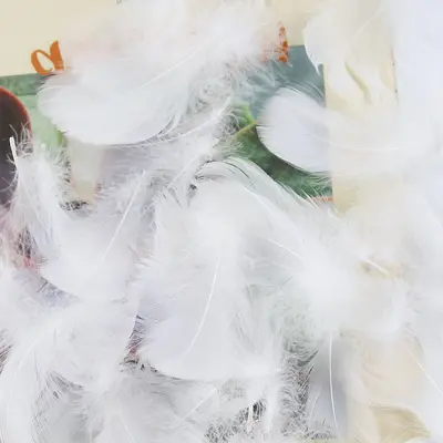 36 Colours Small Dyed Swan Feathers for DIY Jewelry - 10