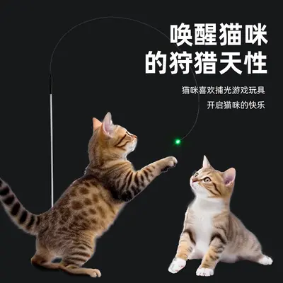 Kitten Teaser Wand, Fiber Laser, Extra Long Feather, Chew-Resistant - 3