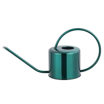 Retro Stainless Steel Watering Can, Large Capacity, Long Spout - 11