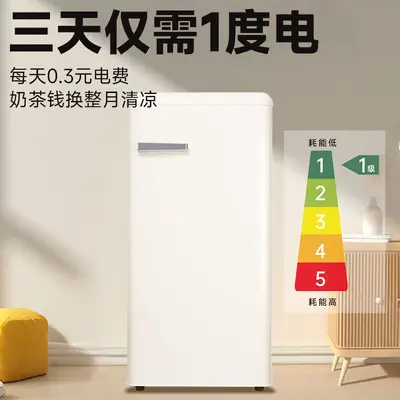 Retro Refrigerator Orange and White, Single Door, Energy Grade 1, for Apartments