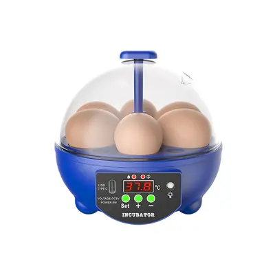 Fully Automatic Smart Incubator with USB, for Chicken and Goose Eggs - 6