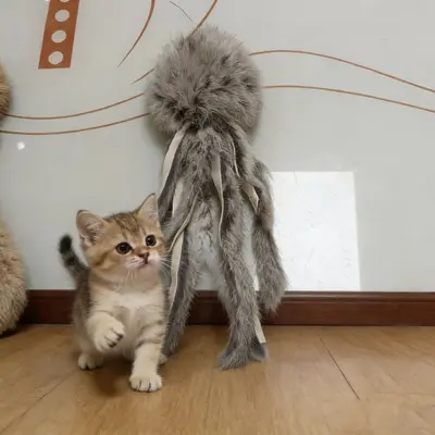 Real Rabbit Fur Octopus Cat Toy, Handmade, Non-Toxic - 8