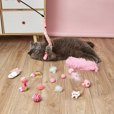 Four-Color Cat Toy Set, Self-Assembled Cat Teaser Toys