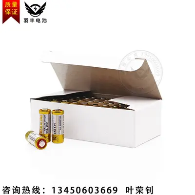 23A 12V Alkaline Battery for Remote Controls and Doorbells