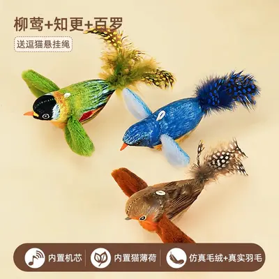 Cat Teaser Wand with Simulated Bird and Sound - 12