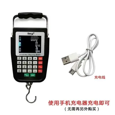 Voice pricing scale, rechargeable portable handheld - 7