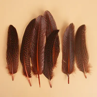 Colorful Pearl Nest and Feather Dots for DIY Jewelry and Dream Catcher - 11