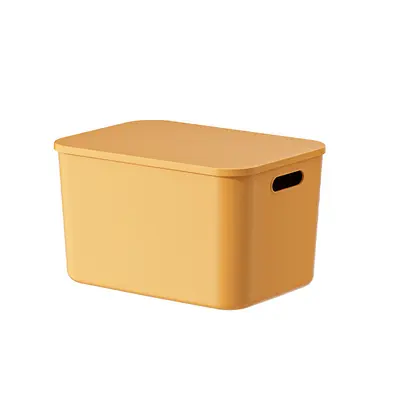 PP plastic storage box with lid, thickened, large capacity - 6