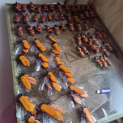 仿真昆虫子摆件蜜蜂益智玩具儿童玩具旅游工艺品