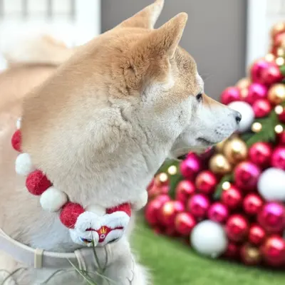 Plush Lion Dance Pet Collar for Cats and Dogs New Year