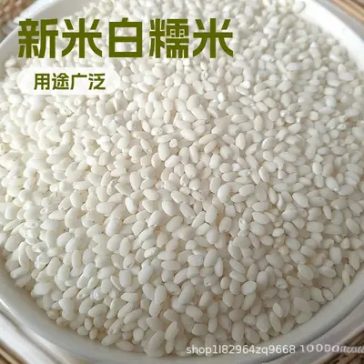 White Round Glutinous Rice 25 kg, New Crop, Bulk, for Zongzi and Rice Wine - 1
