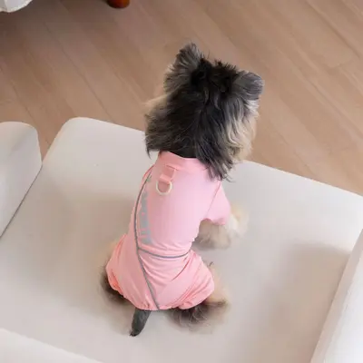Reflektierende bedruckte Hundekleidung, Frühjahr und Sommer