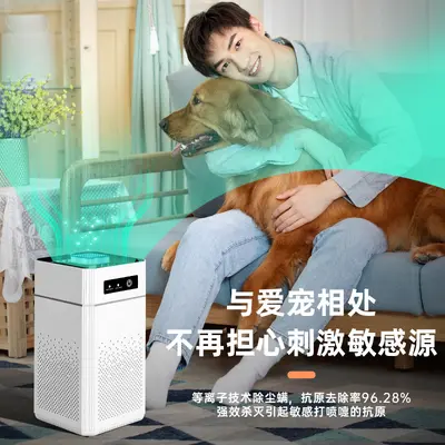 USB Portable Air Purifier with Negative Ion and Formaldehyde Filter - 4