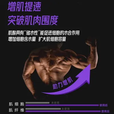 FoYes一水肌酸99.99%高纯度肌酸粉力量耐力爆发力运动健身补剂 - 4