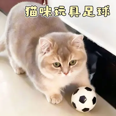 Katzen-Fußball-Spielzeug, interaktiver Trainingsball - 4