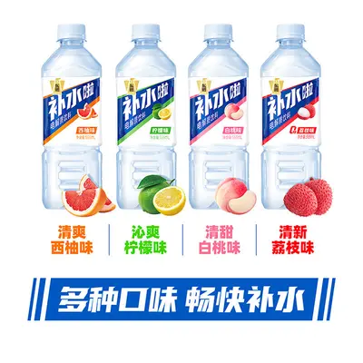 Dongpeng Electrolyte Drink Lemon Flavor 555ml x 24 Bottles - 3