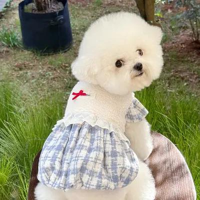 Dog Winter Dress, Fleece-Lined Lamb Wool Pumpkin Skirt