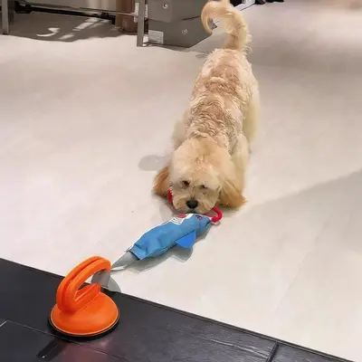 狗狗拔河玩具可爱玩偶解闷磨牙互动玩具套装耐咬耐扯绳子吸盘套装