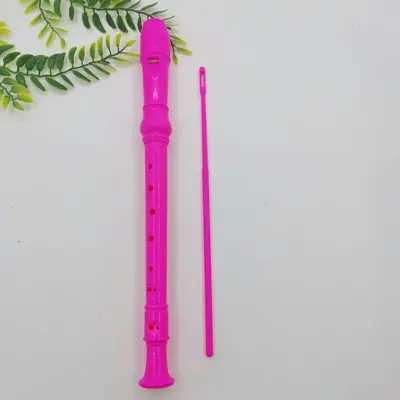 Bunte Kinder-Blockflöte mit 8 Löchern, Frühpädagogik-Musikinstrument - 10