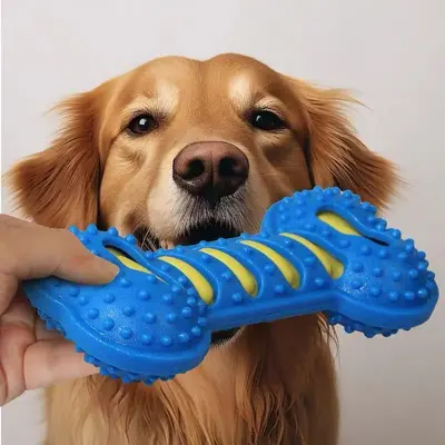 Çift Katmanlı Kauçuk Köpek Kemiği, Büyük Irk İçin Sesli Oyuncak - 7
