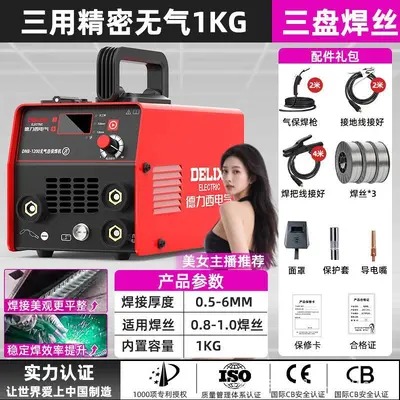 Delixi 220V Multifunction Gasless Welding Machine, Portable, Industrial Grade - 10