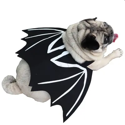 Bat Wing Halloween Costume for Pets, Dogs and Cats